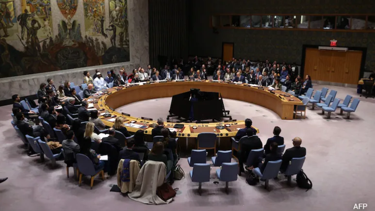 UN सुरक्षा परिषद में सभी स्थायी सदस्यों को समान वीटो अधिकार मिले: भारत